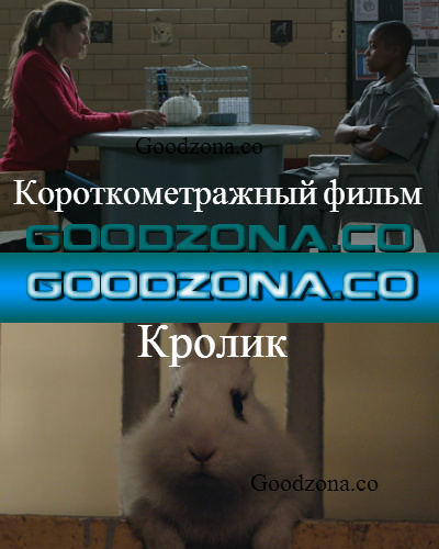 Кролик (2014) смотреть